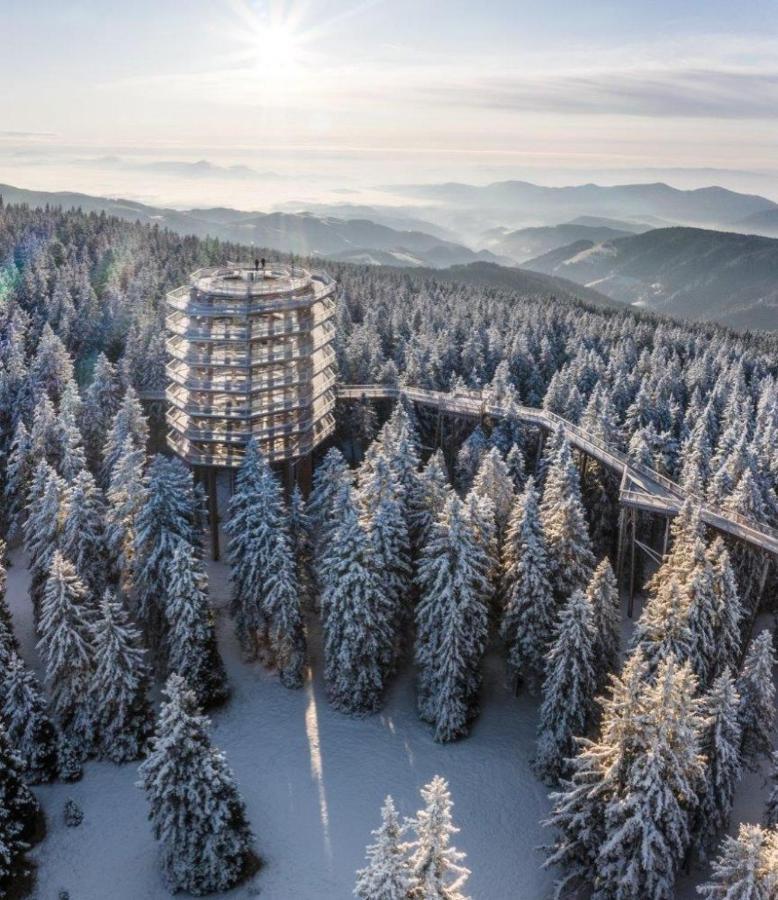 Apartma Tia Apartment Zreče
